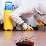 Fumigation and pests control