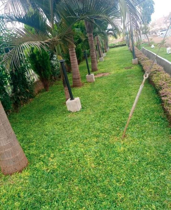 How to make a good lawn